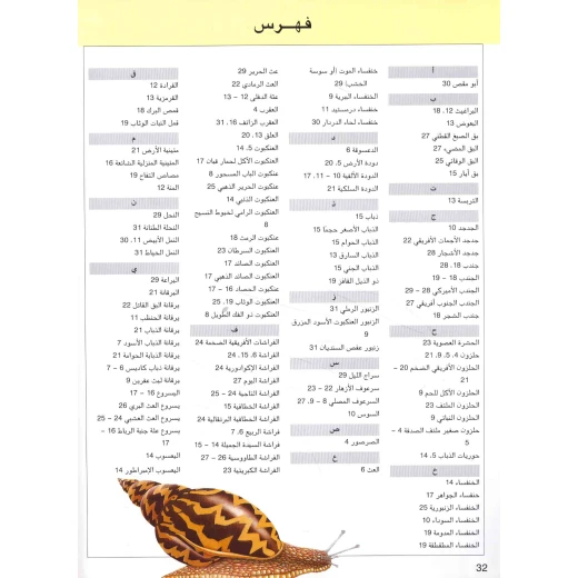 سلسلة اكتشف: كتاب الحشرات للأطفال من 8 إلى 12 سنة – حقائق مذهلة ورسوم ملونة تعليمية عن عالم الحشرات باللغة العربية - دار الحياة - Image 2
