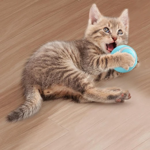 Pets Pets Smart Ball Cat Toy - Colorful Lighting Interactive Toys for Cats - Intelligent Rolling Silicone Kitten Toys, Fast Rolling Carpet - Pets - Image 3