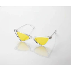 Stylish Sunglasses for Cats and Small Dogs