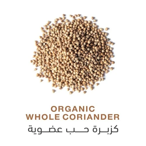 هولستيك كورنر، كزبرة عضوية كاملة، توابل للطبخ، 40 جم، حصاد طازج، بهارات ذات جودة عالية، معزز نكهة، خالي من الغلوتين، مثالي للإبداعات الطهي - هولستك كورنير - Image 2
