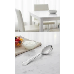 Disposable Silver Spoon Large  Piece Set, Stainless Steel Utensils for Kitchen and Dining 10piece