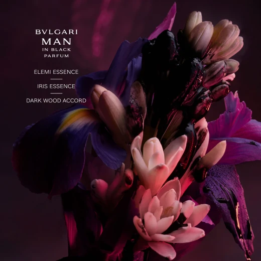 عطر بولغاري مان إن بلاك أو دو بارفان 60 مل - عطر رجالي مكثف وحار - Image 4