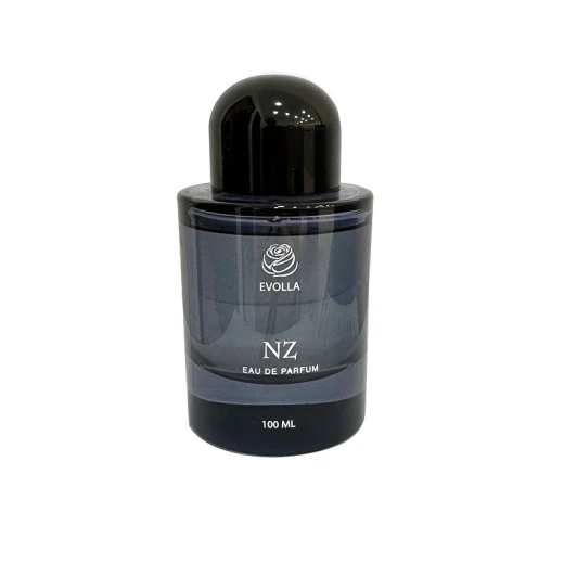 عطر إيفولا إن زد للرجال 100 مل: تجربة عطرية آسرة للرجل العصري. عطر يدوم طويلاً، ورائحة جريئة للاستخدام اليومي. بخاخ أو دو بارفان