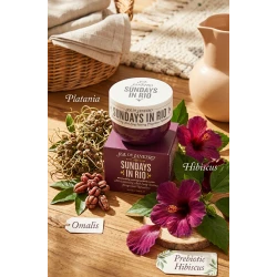 Sol de Janeiro Sundays Body Butter 240ml – Velvety Moisturizing Body Butter with Platania, Prebiotic Hibiscus, Omalis & Bacuri Butter, Long-Lasting Hydration and Skin Barrier Support for Soft Smooth Skin