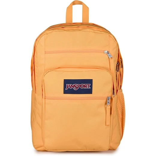 JANSPORT Men's Big Student Backpack 100% Polyester, Two Large Main Compartments, Front Organizer Pocket, 2 Exterior Zippered Stash Pockets & Padded Back Panel