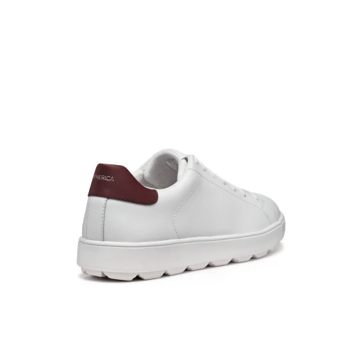 Geox Spherica ECUB-1 Men's Sneakers White 42 Featuring Breathable Coated Leather Construction Delivering Exceptional Cushioning and Comfort for Everyday Wear - Geox - Image 7