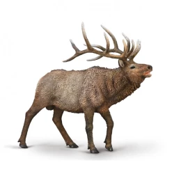 Collecta Uapiti XL Figure Realistic Hand-Painted Animal Toy for Kids