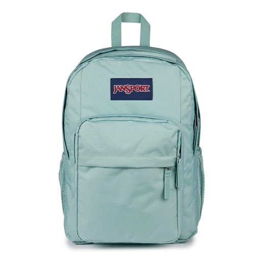 JanSport Big Day Pack Medium Backpack Faded Sage Unisex