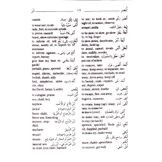 قاموس المورد القريب للجيب عربي-إنجليزي - طبعة ثنائية اللغة - Image 2