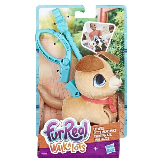 فورريل ووكألوتس ليل' واغز- بوبي (1) فورريل ووكألوتس ليل' واغز- بوبي (1)