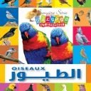 موسوعتي التعليمية الأولى: الطيور إصدار إنكليزي عربي 2012 دليل شامل للأطفال 100+ صفحات رسوم توضيحية ملونة - Image 2