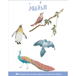 شجرة القراءة للمبتدئين: كتاب قصة الطيور – قصص ممتعة بلغة بسيطة لتسهيل الفهم، جزء من سلسلة شجرة القراءة لتعليم الأطفال القراءة
