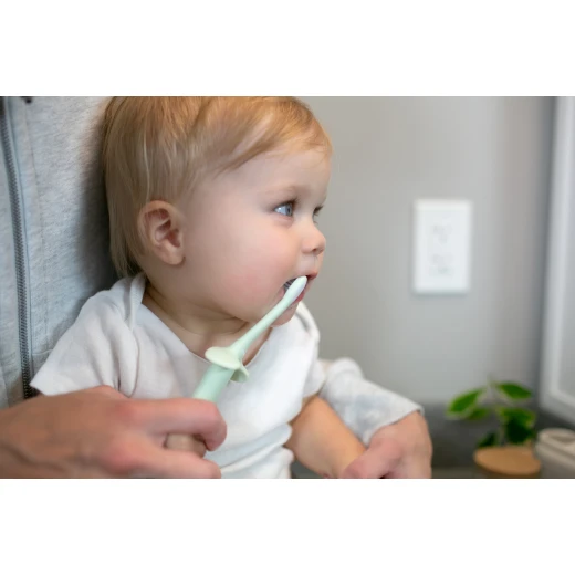 Dr. Brown’s Infant-to-Toddler Toothbrush, Soft and Safe Baby Training Brush, Elephant, Mint, 0-3 years - Dr. Brown's - Image 3