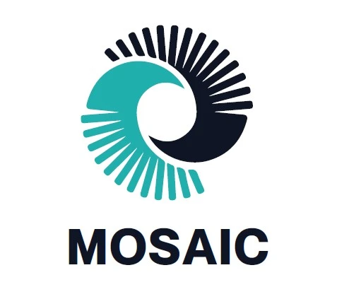 Mosaic Ultra Dishwasher Tablets, 60 Tabs – Powerful Cleaning Action, Removes Tough Grease & Stains, Sparkling Dishes, Effective on Glassware & Utensils, Suitable for Daily Use - Mosaic - Image 5