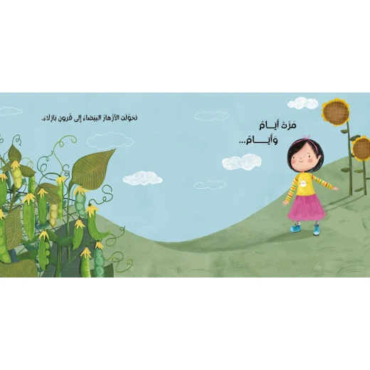 Dar Al Yasmeen Shiny Green Bead – Me and the World Series (0-5 Years) | An illustrated story about plant growth and discovery - Al Yasmine Books - Image 2