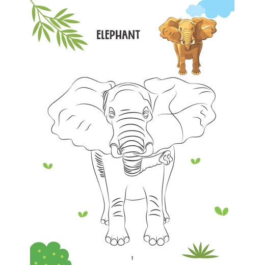 كتاب التلوين الإبداعي - الحيوانات من دريم لاند - Dreamland - Image 2