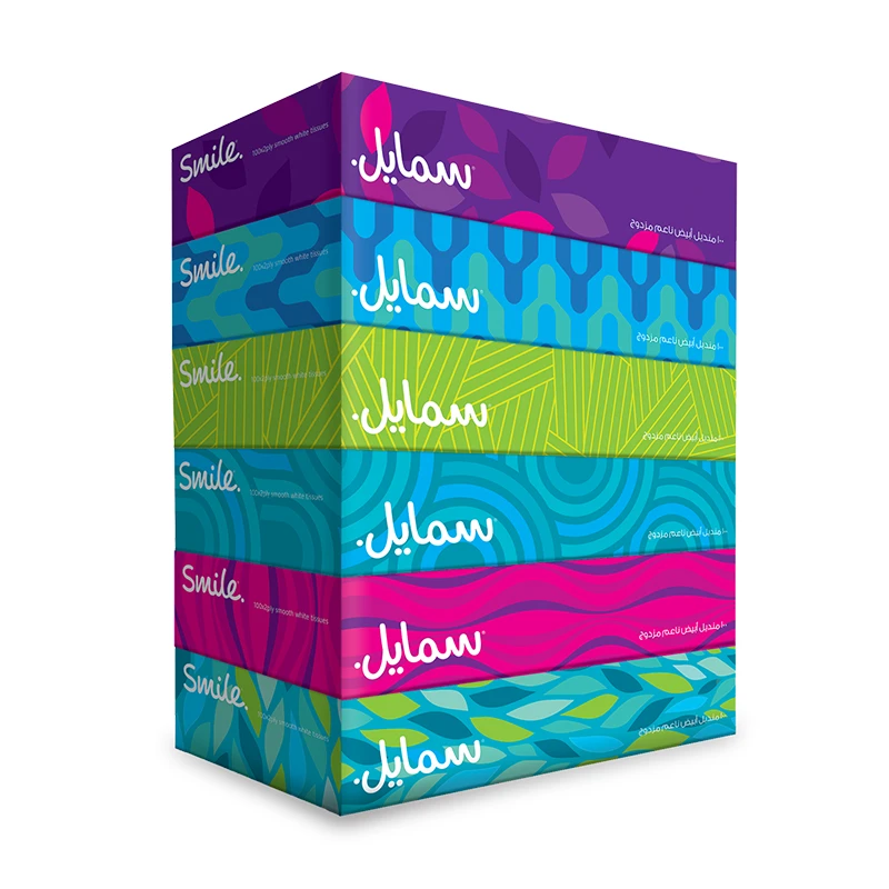 Fine Smile Tissue,100 sheets Pack of 6 - Fine