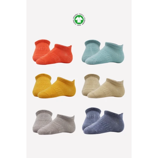 جوارب مبطنة ممشطة (24-36 شهر) (ملون)، 6 أزواج من بيستايل - BiOrganic - Image 7
