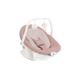 Joie Serina 2in1 Baby Swing and Rocker - Cosmo Lola (Pink)
