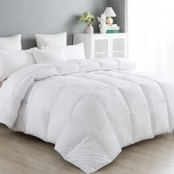 Nova Home SuperMicro Ultra Soft MicroFiber Comforter - King - White