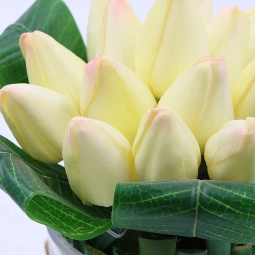 نوفا هوم "Green Tulip" مزهرية زهور - 18 سم - كريمي - نوفا هوم - Image 2