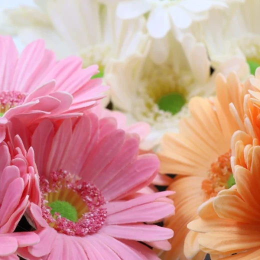 نوفا هوم "Gerbera" مزهرية زهور - 20 سم - أبيض - نوفا هوم - Image 2