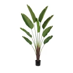 نوفا هوم "Strelitzia Ceae" نبتة صناعية - 180 سم - أخضر - نوفا هوم
