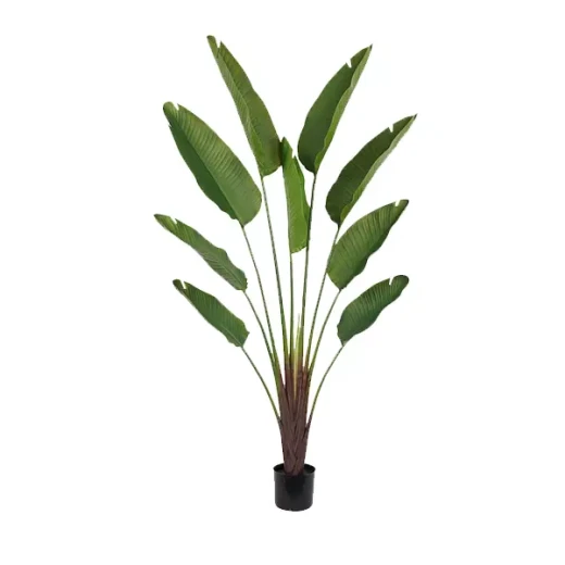 نوفا هوم "Strelitzia Ceae" نبتة صناعية - 180 سم - أخضر - نوفا هوم - Image 2
