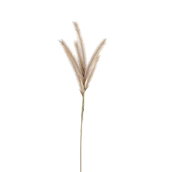 Weva 11x124 Cm Coffee Reed Artifical Stems&Branches "Reed"