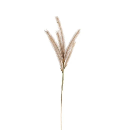 Weva 11x124 Cm Coffee Reed Artifical Stems&Branches "Reed" Weva 11x124 Cm Coffee Reed Artifical Stems&Branches "Reed"