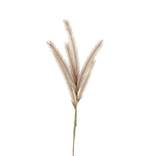 Weva 11x124 Cm Coffee Reed Artifical Stems&Branches "Reed" - Weva - Image 2