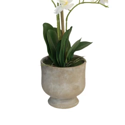 Nova Home "Ivoria" Flower Phalaenopsis Arrangement with Pot – 60 cm – White