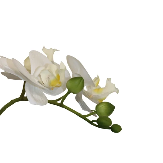 Nova Home "Ivoria" Flower Phalaenopsis Arrangement with Pot – 60 cm – White - Nova Home - Image 3