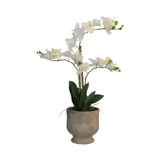 Nova Home "Ivoria" Flower Phalaenopsis Arrangement with Pot – 60 cm – White - Nova Home - Image 4