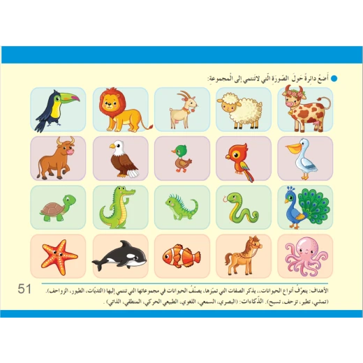 سنا المهارات المستوى الثاني - Image 7