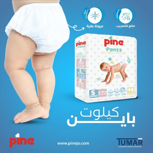 كيلوت  باين للأطفال قياس 6 ,التعبئة 44 فوطة, الوزن + 18 كيلو - باين - Image 2