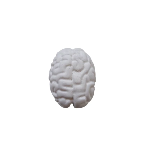 صندوق الحج الحسي - سنسوريا - Image 3