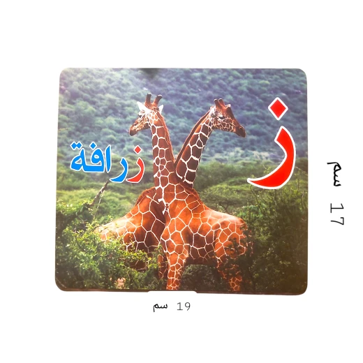 بطاقات حسية كبيرة لتعليم الحروف العربية – 28 بطاقة بصور واقعية 16×19 سم وفق مبادئ جلين دومان - سنسوريا - Image 3