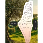 ألغاز خشبية لخريطة فلسطين – قطعة فنية يدوية تجسد الهوية والانتماء وجمال الأرض, 47.5 × 16 × 1 سم من سينسوريا - سنسوريا