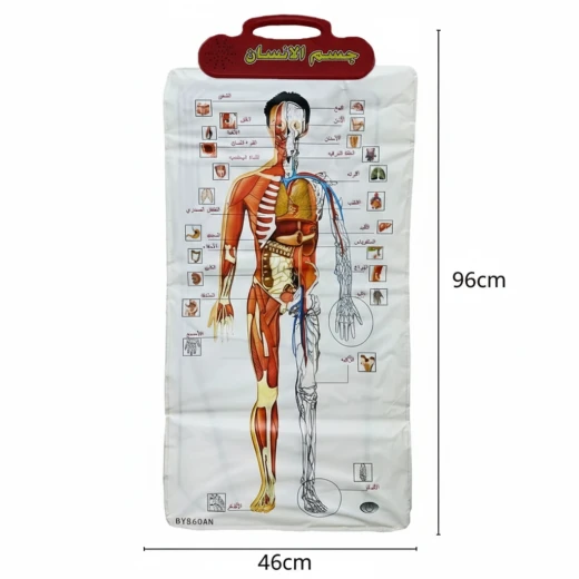 Sensoria Interactive Learning Wall Board – Human Body (Arabic Language) Sensoria Interactive Learning Wall Board – Human Body (Arabic Language)