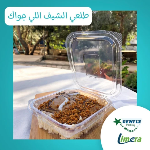 علب طعام بلاستيكية من جنتل 250 سي سي - 100 قطعة - جينتل باكنج - Image 2