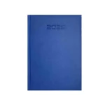 الأجندة اليومية 2025 B5 17X24 سم - كاستيلي