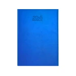 الأجندة الأسبوعية 2025 21×26 سم - كاستيلي
