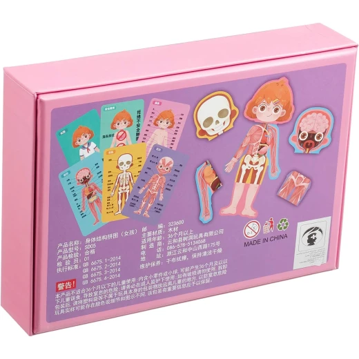 Body Structure Puzzle Girl - human body puzzle and anatomy learning toy for girls for kids, educational puzzle and early science learning, a thoughtful educational gift encourages thinking great gift idea - My toys - Image 2