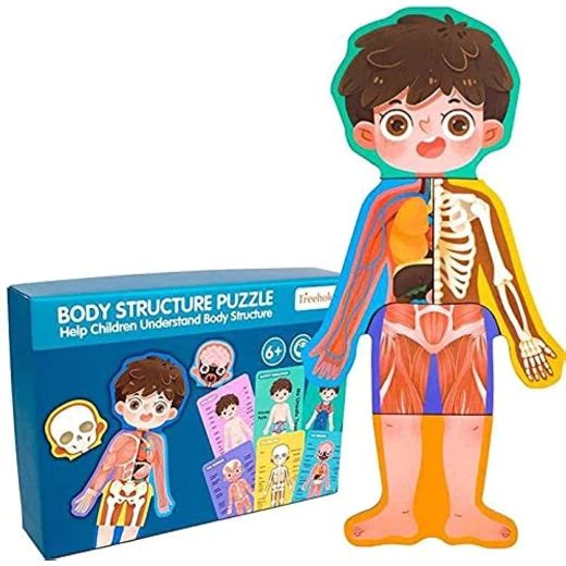 Body Structure Puzzle Boy - human body puzzle and anatomy learning toy for boys for kids, educational puzzle and early science learning, a thoughtful educational gift builds skills great gift idea nice - My toys - Image 2