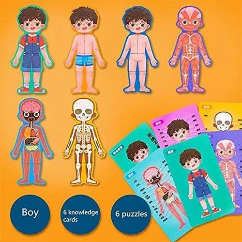Body Structure Puzzle Boy - human body puzzle and anatomy learning toy for boys for kids, educational puzzle and early science learning, a thoughtful educational gift builds skills great gift idea nice - My toys - Image 3
