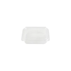 RZ Plastic Containers Rectangle Hinged 750 cc - 25 PCS