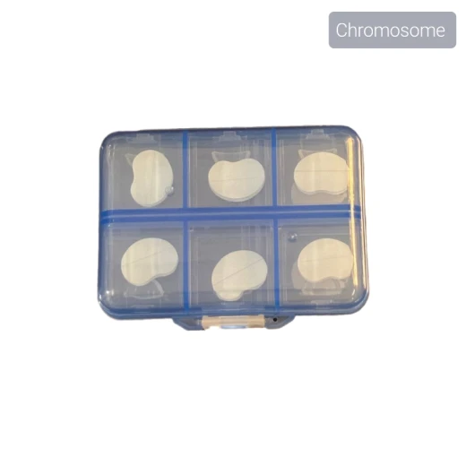 Baby Ear Corrector Plaster - Chromosome - Image 3