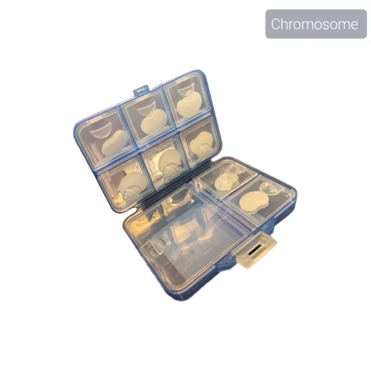 Baby Ear Corrector Plaster - Chromosome - Image 4