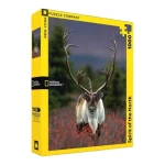 New York National Geographic Puzzle 1000 Pieces Spirit of the North - New York Puzzle Company